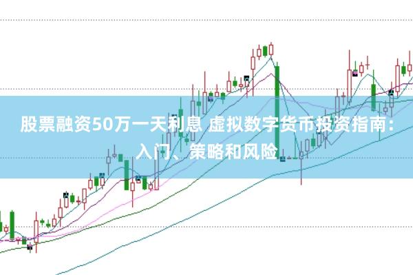 股票融资50万一天利息 虚拟数字货币投资指南：入门、策略和风险