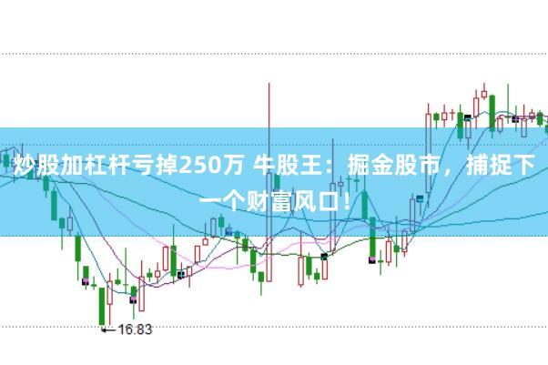 炒股加杠杆亏掉250万 牛股王：掘金股市，捕捉下一个财富风口！