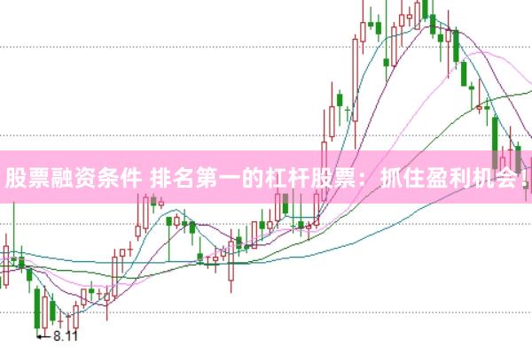 股票融资条件 排名第一的杠杆股票：抓住盈利机会！