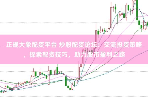 正规大象配资平台 炒股配资论坛：交流投资策略，探索配资技巧，助力股市盈利之路