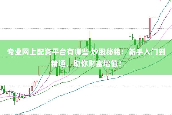 专业网上配资平台有哪些 炒股秘籍：新手入门到精通，助你财富增值！