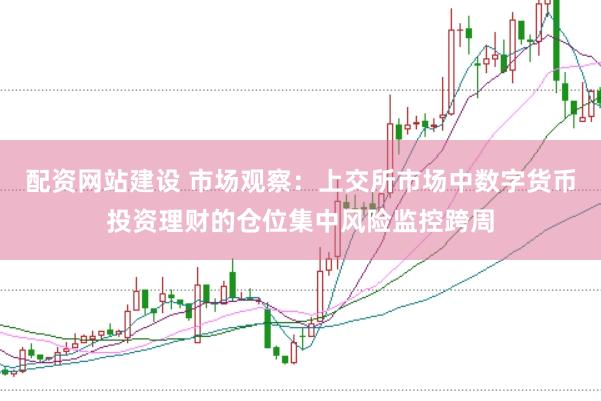 配资网站建设 市场观察：上交所市场中数字货币投资理财的仓位集中风险监控跨周