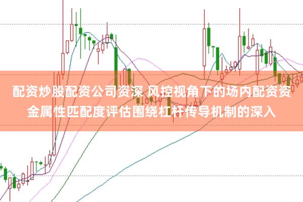 配资炒股配资公司资深 风控视角下的场内配资资金属性匹配度评估围绕杠杆传导机制的深入