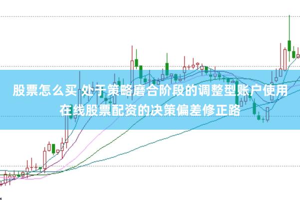 股票怎么买 处于策略磨合阶段的调整型账户使用在线股票配资的决策偏差修正路