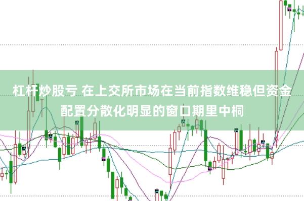 杠杆炒股亏 在上交所市场在当前指数维稳但资金配置分散化明显的窗口期里中桐