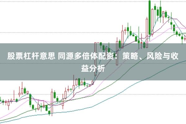 股票杠杆意思 同源多倍体配资：策略、风险与收益分析